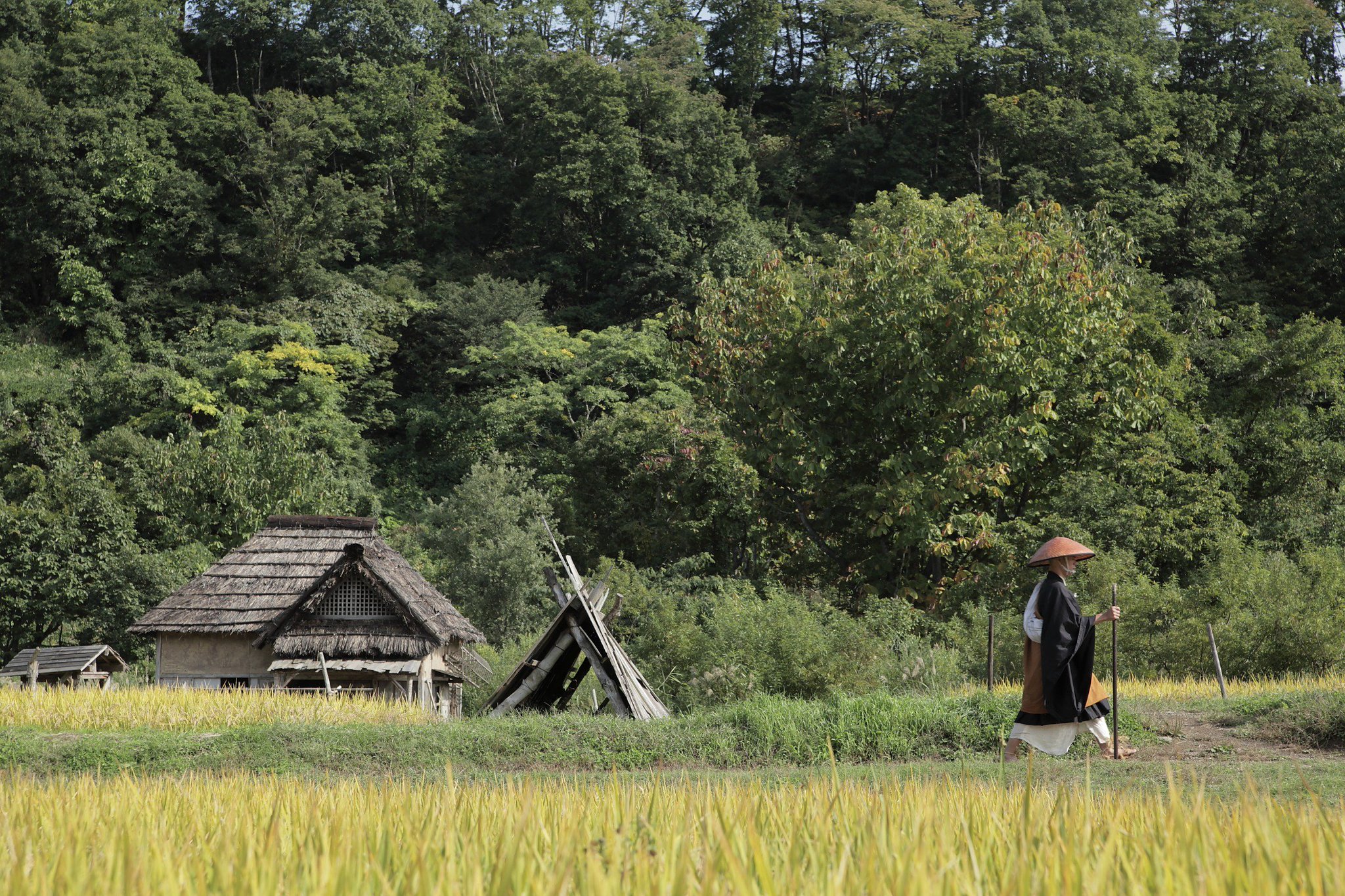 仁光受难记剧照的剧照