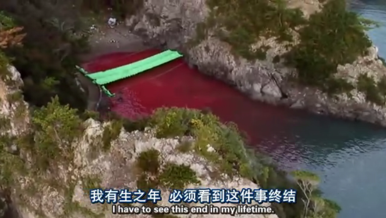 海豚湾剧照的剧照