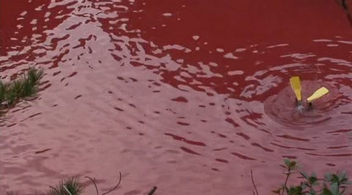 海豚湾剧照的剧照