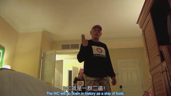 海豚湾剧照的剧照