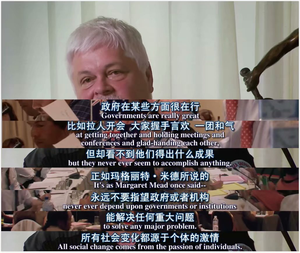 海豚湾剧照的剧照