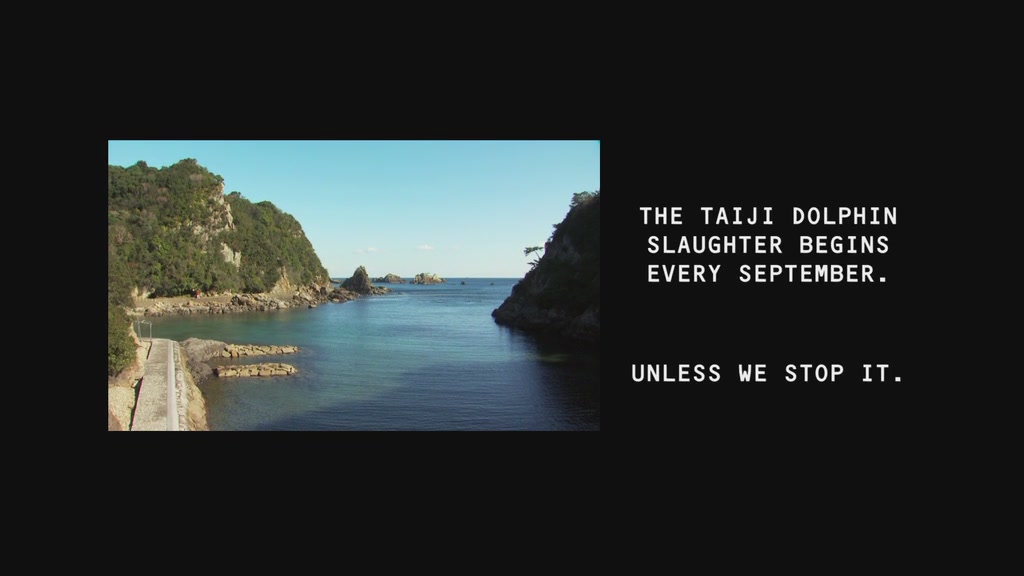 海豚湾剧照的剧照