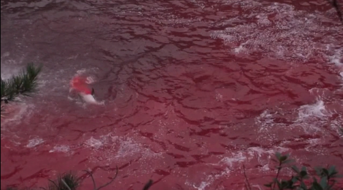 海豚湾剧照的剧照