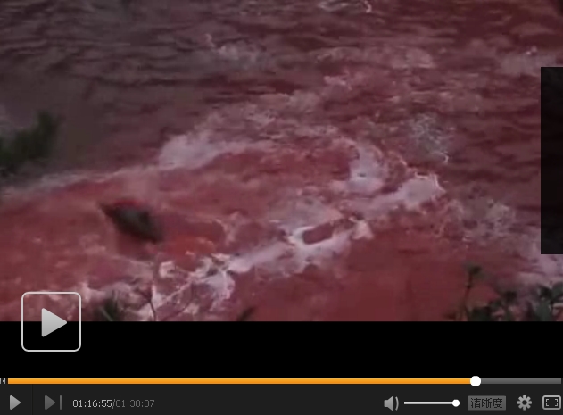 海豚湾剧照的剧照