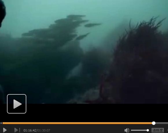 海豚湾剧照的剧照