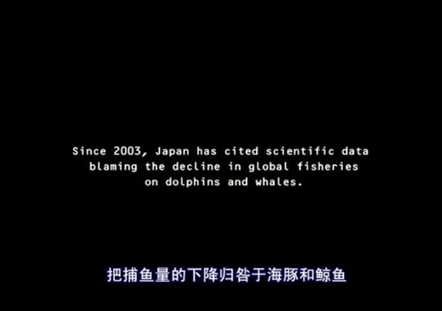 海豚湾剧照的剧照