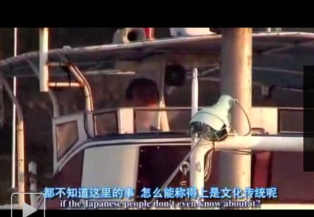 海豚湾剧照的剧照