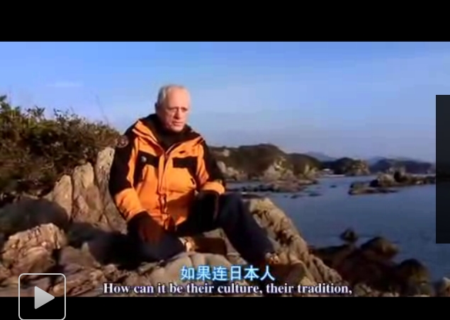 海豚湾剧照的剧照