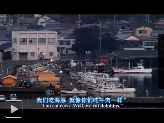 海豚湾剧照的剧照