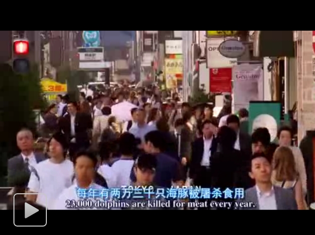 海豚湾剧照的剧照