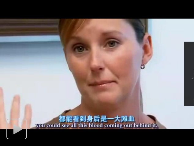 海豚湾剧照的剧照