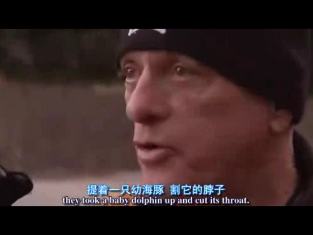 海豚湾剧照的剧照