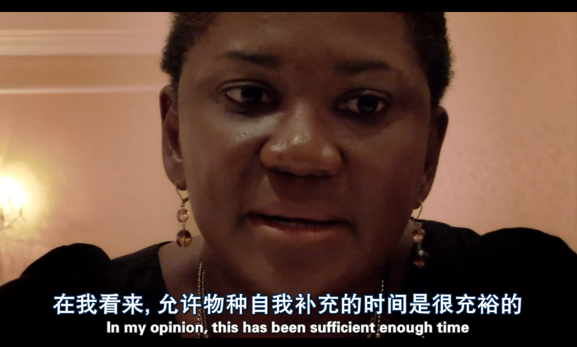 海豚湾剧照的剧照