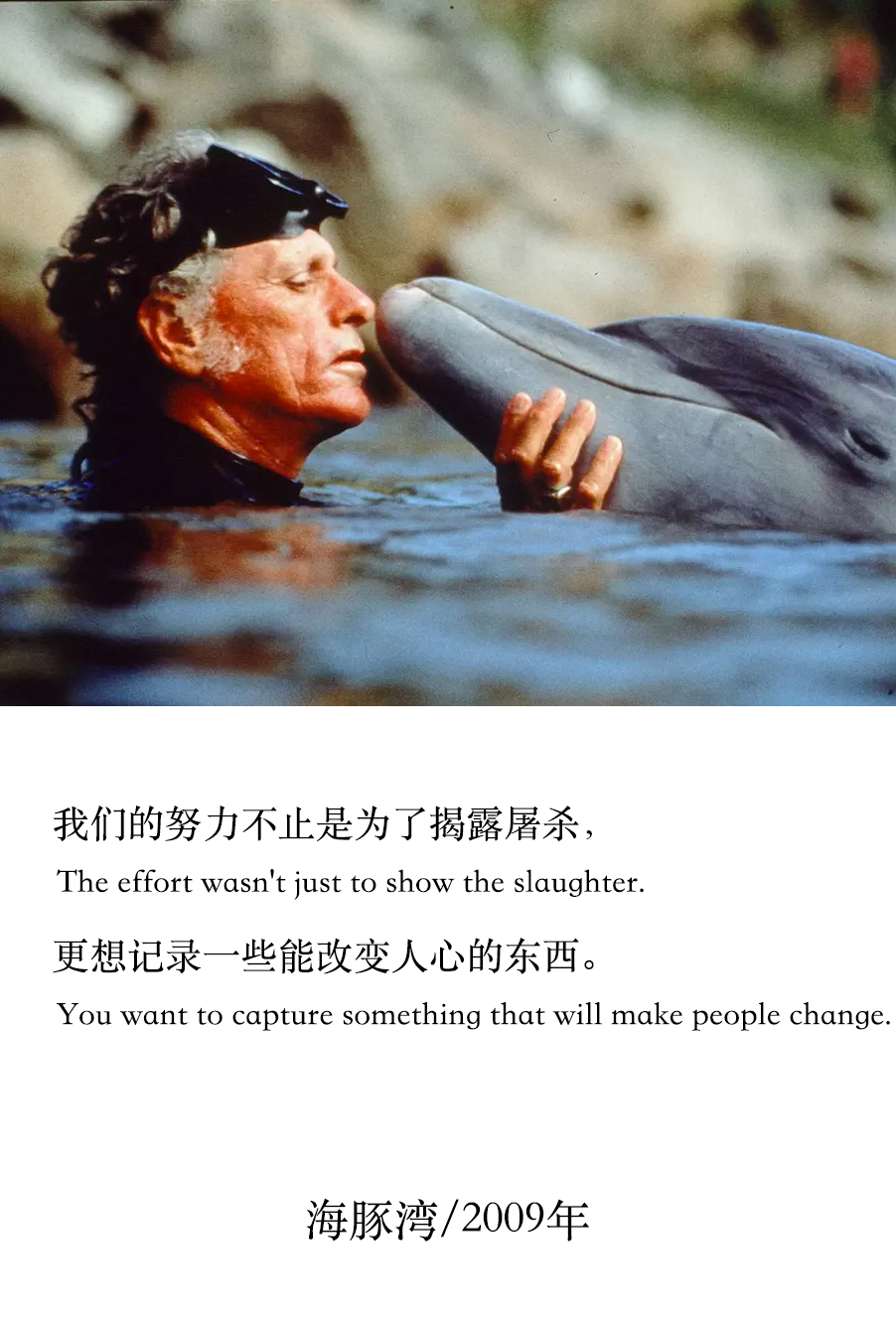 海豚湾剧照的剧照