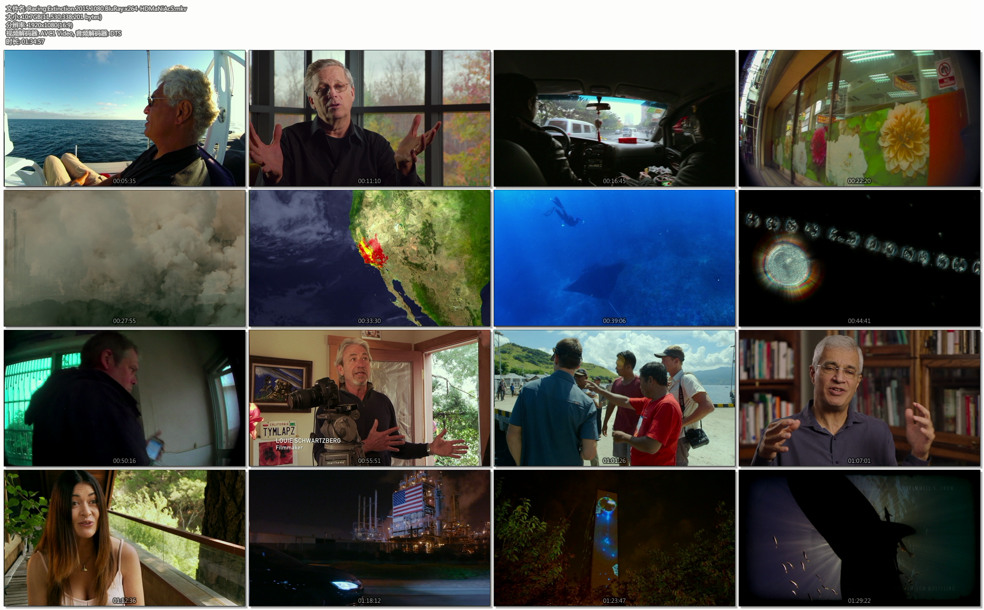 海豚湾剧照的剧照