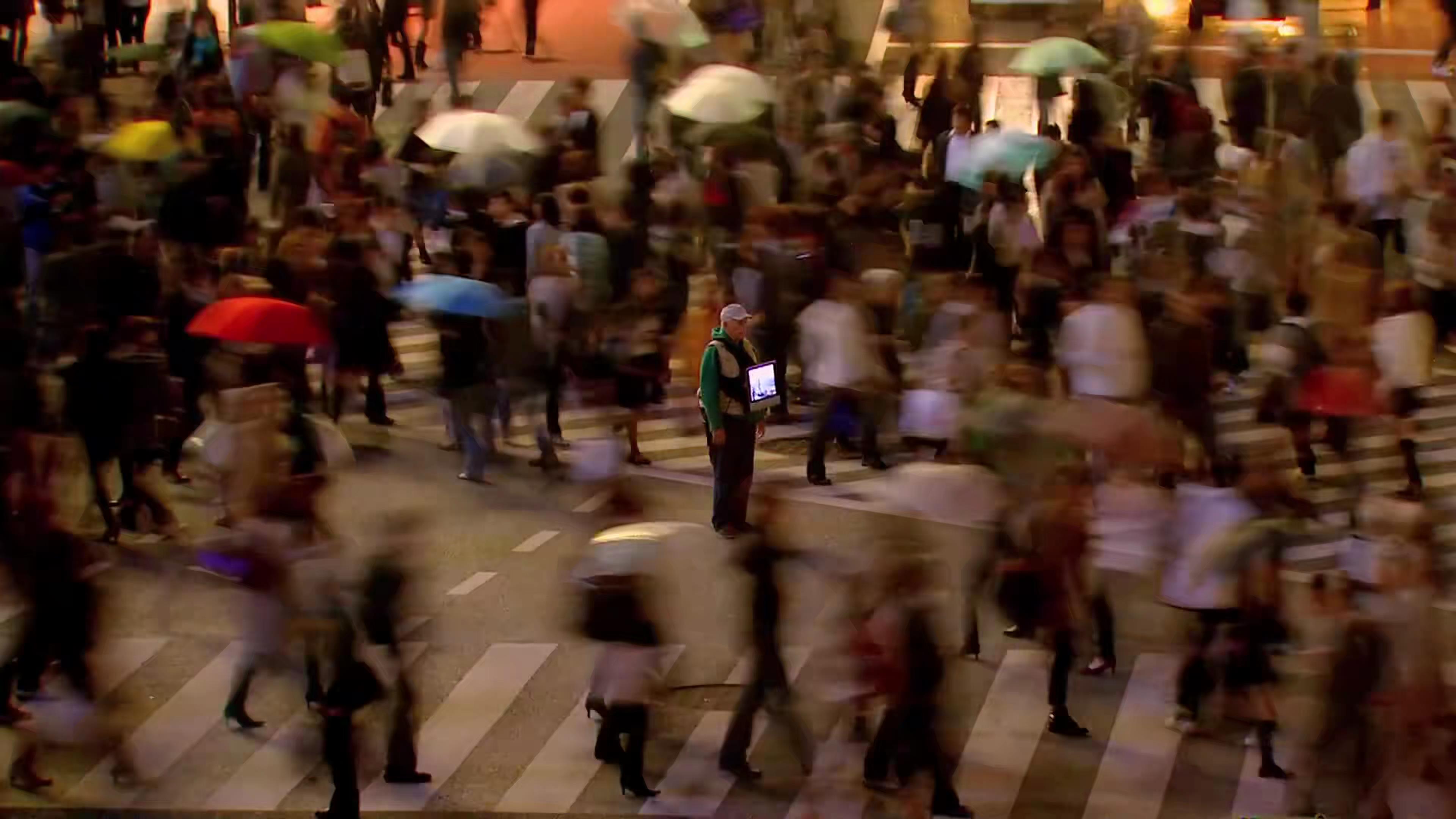 海豚湾剧照的剧照