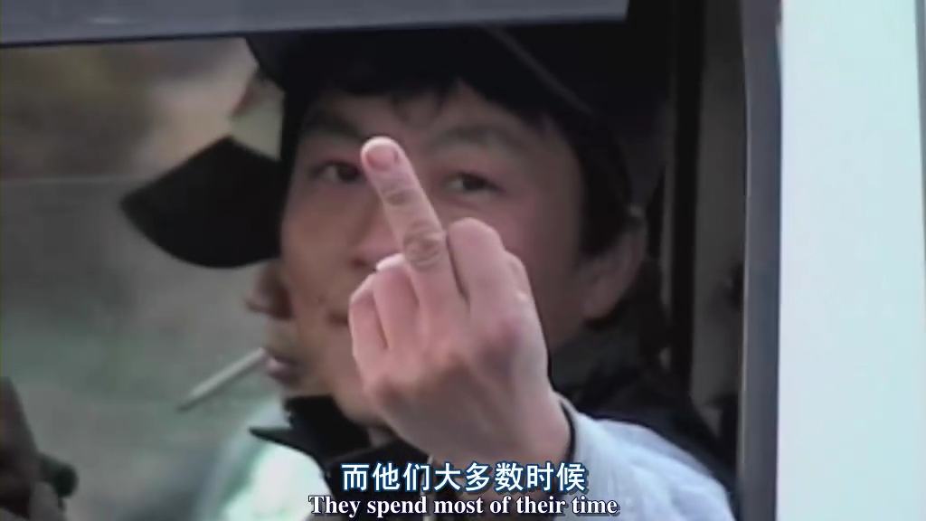 海豚湾剧照的剧照