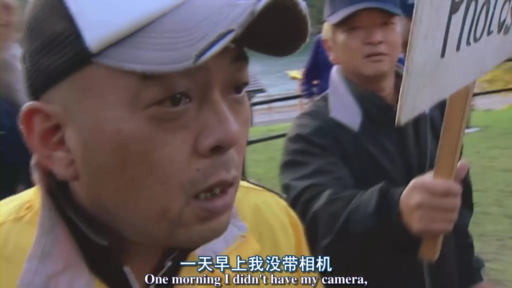 海豚湾剧照的剧照