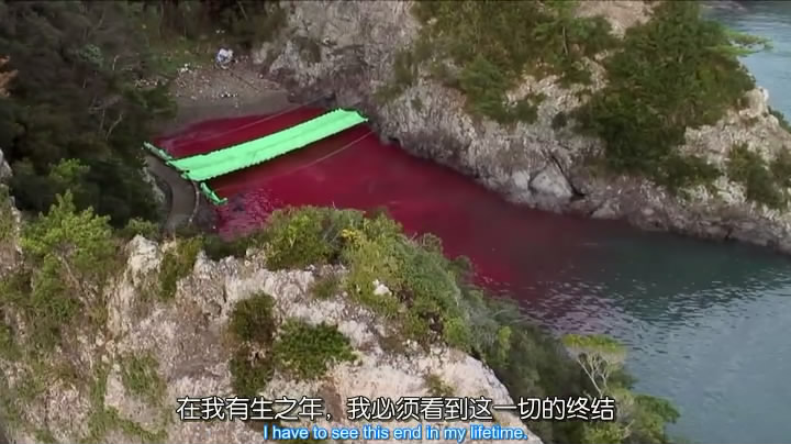 海豚湾剧照的剧照