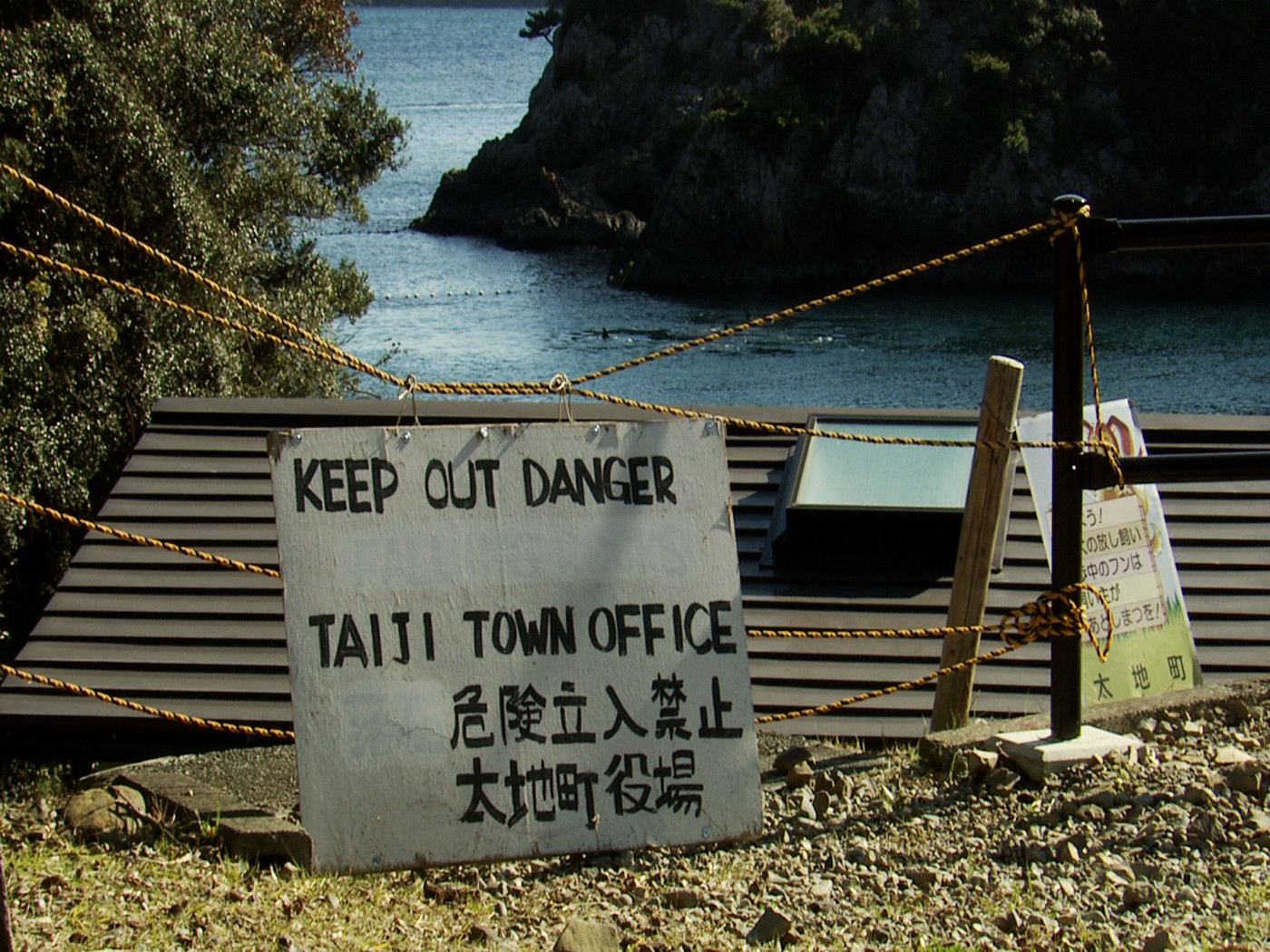 海豚湾剧照的剧照