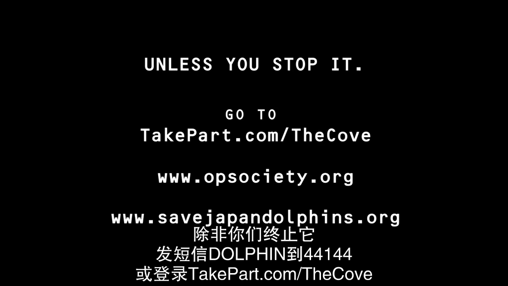 海豚湾剧照的剧照