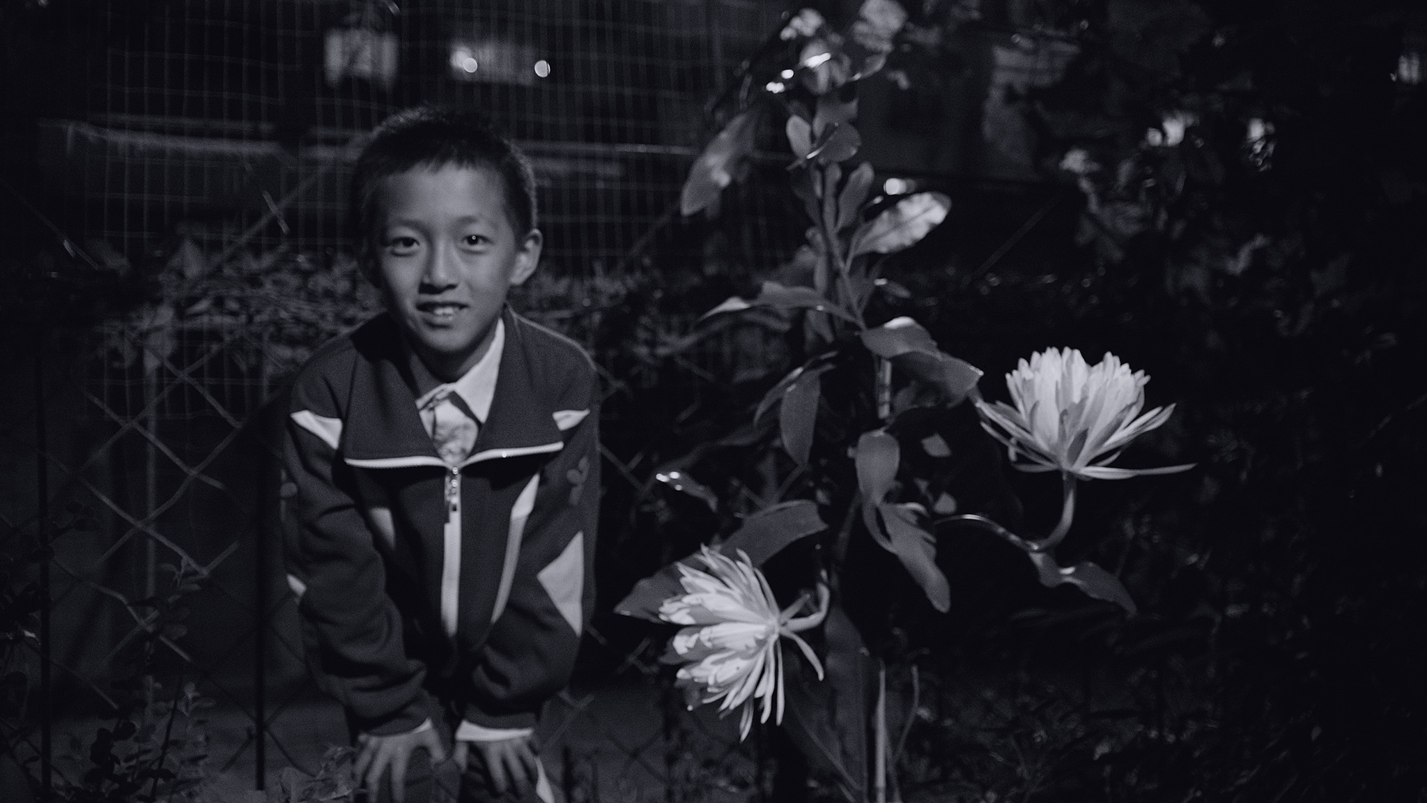 八月剧照的剧照