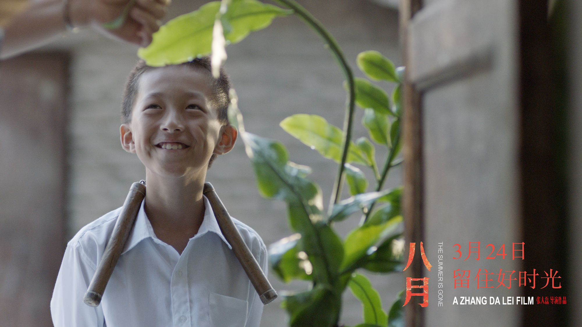 八月剧照的剧照