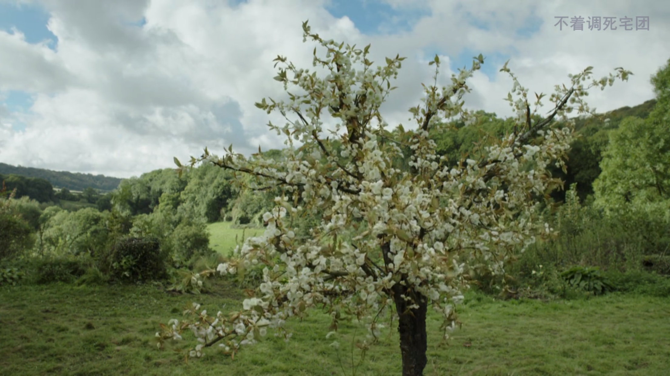 罗西与苹果酒剧照的剧照