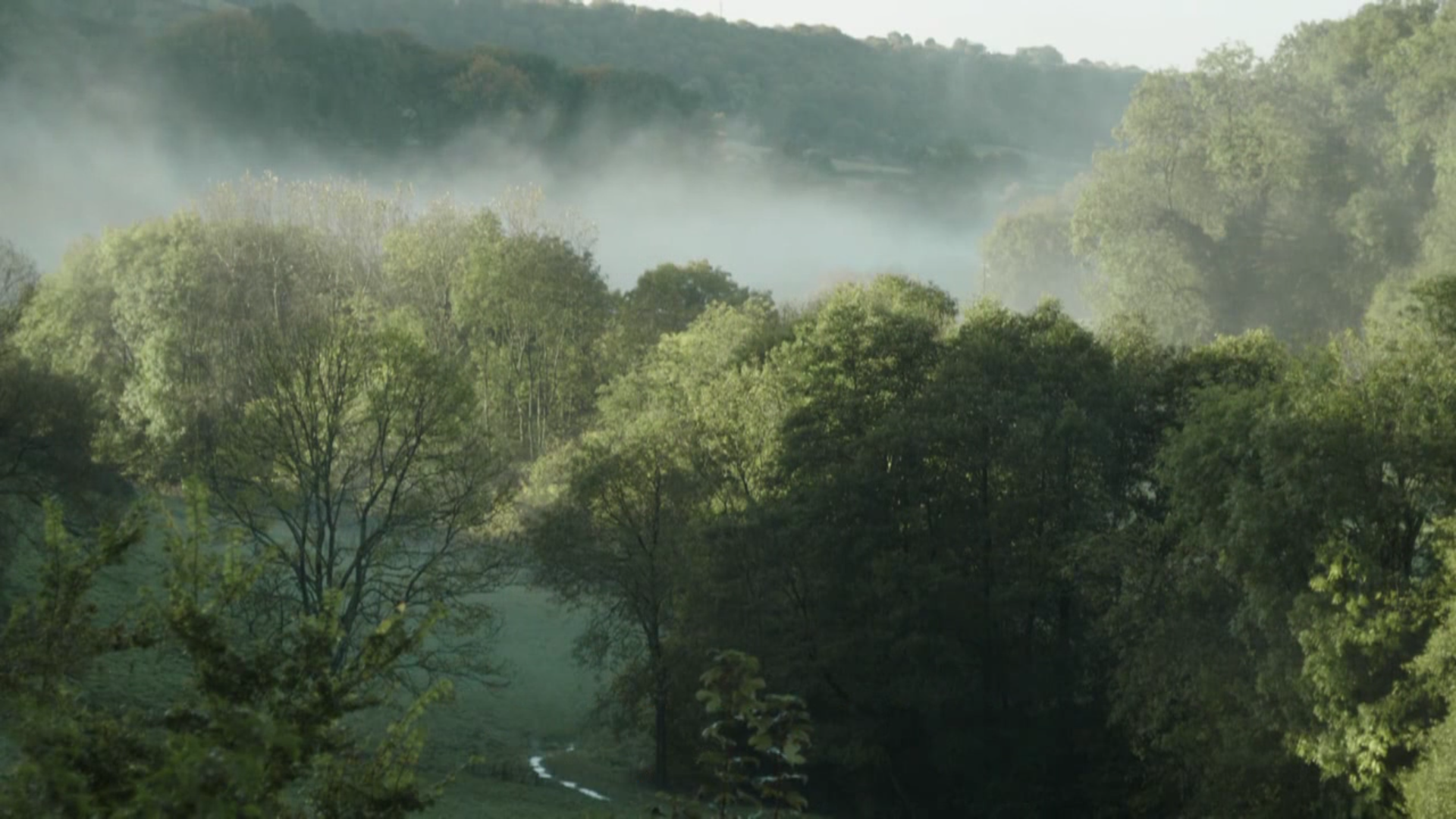 罗西与苹果酒剧照的剧照