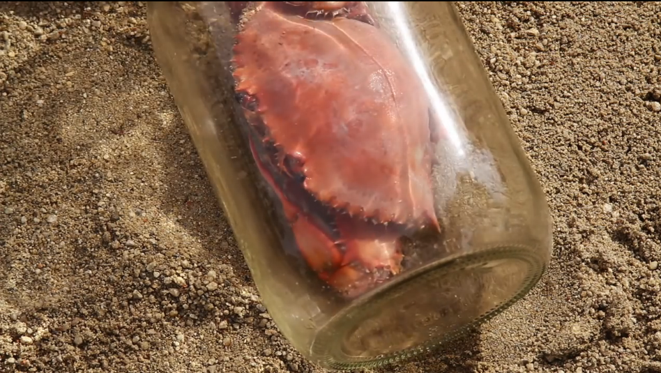 瓶子剧照的剧照