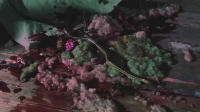 鬼玩人剧照的剧照