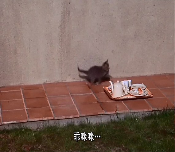 日以作夜剧照的剧照