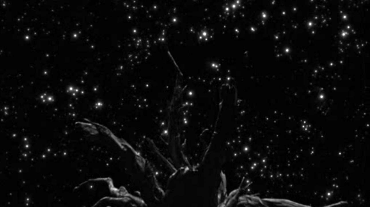 珍爱泉源剧照的剧照