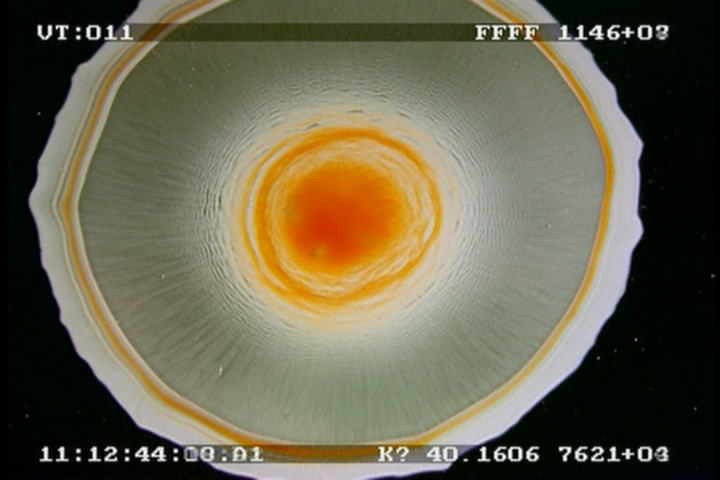 珍爱泉源剧照的剧照