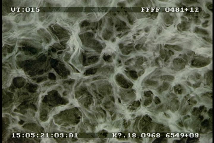 珍爱泉源剧照的剧照