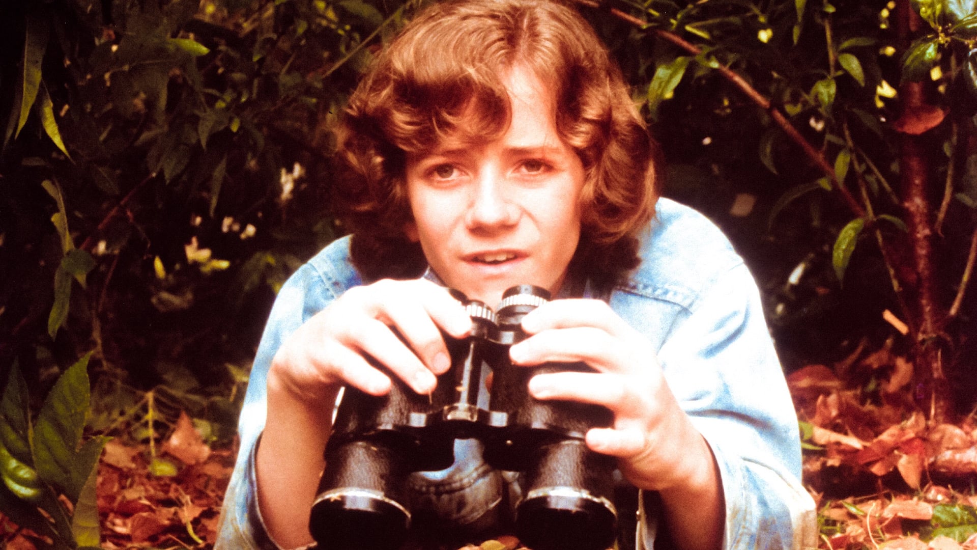 鬼追人剧照的剧照