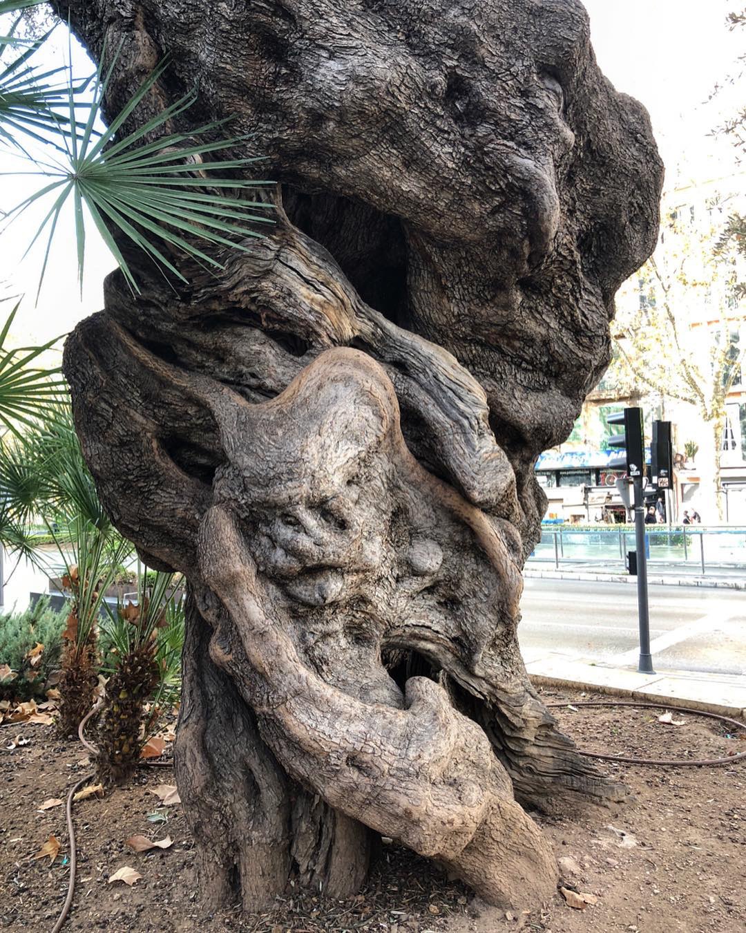 双面生活剧照的剧照