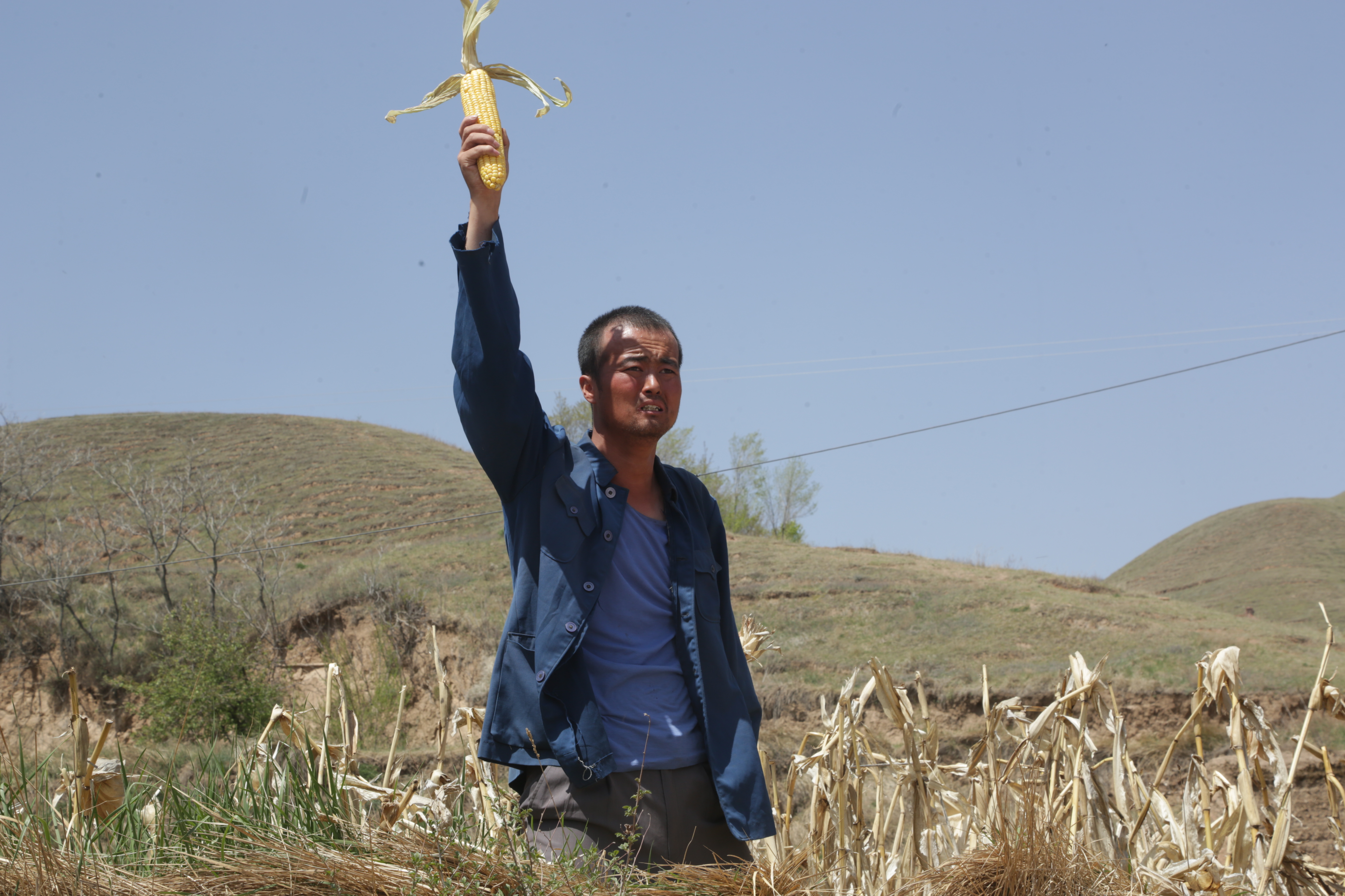 闽宁镇剧照的剧照