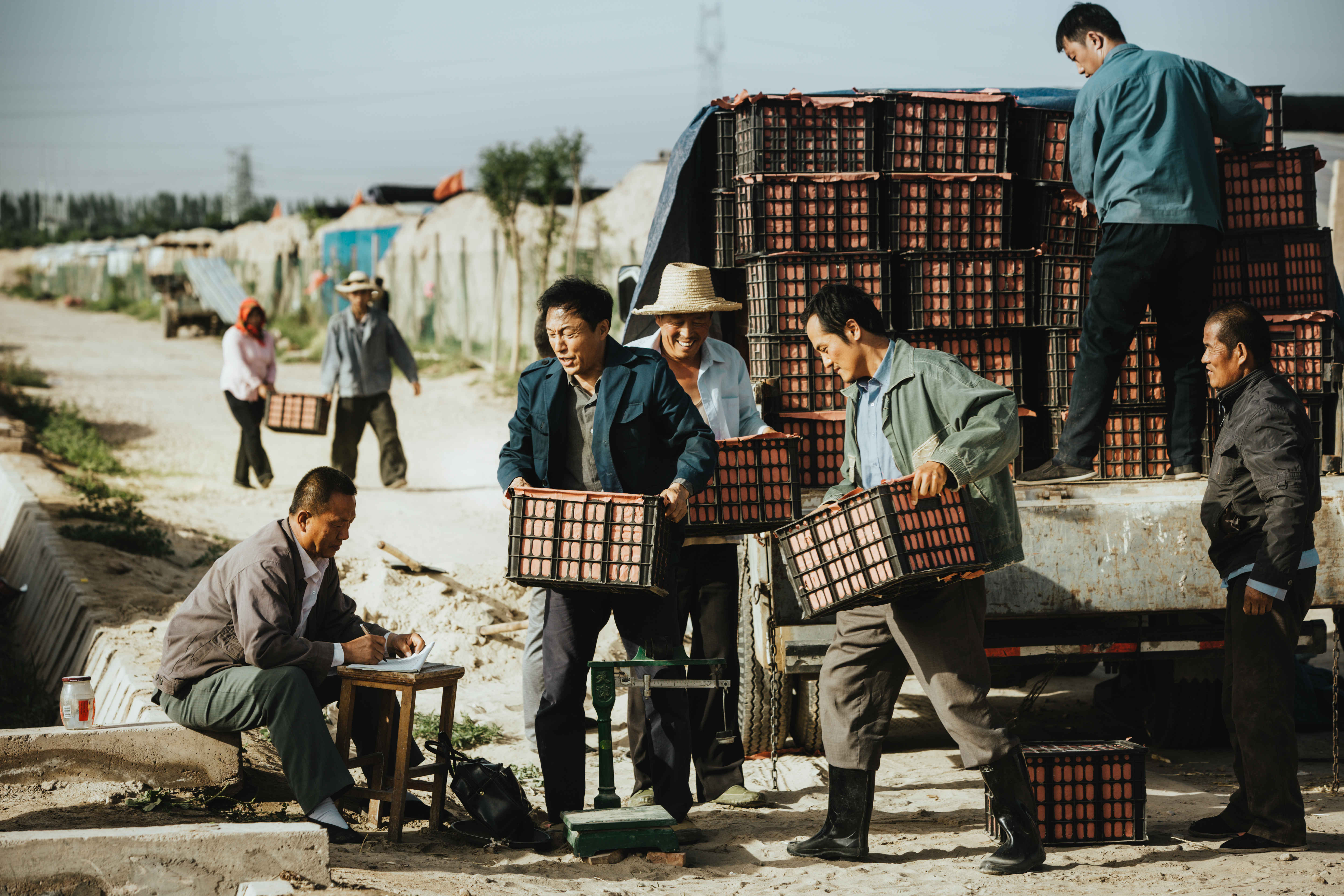 闽宁镇剧照的剧照