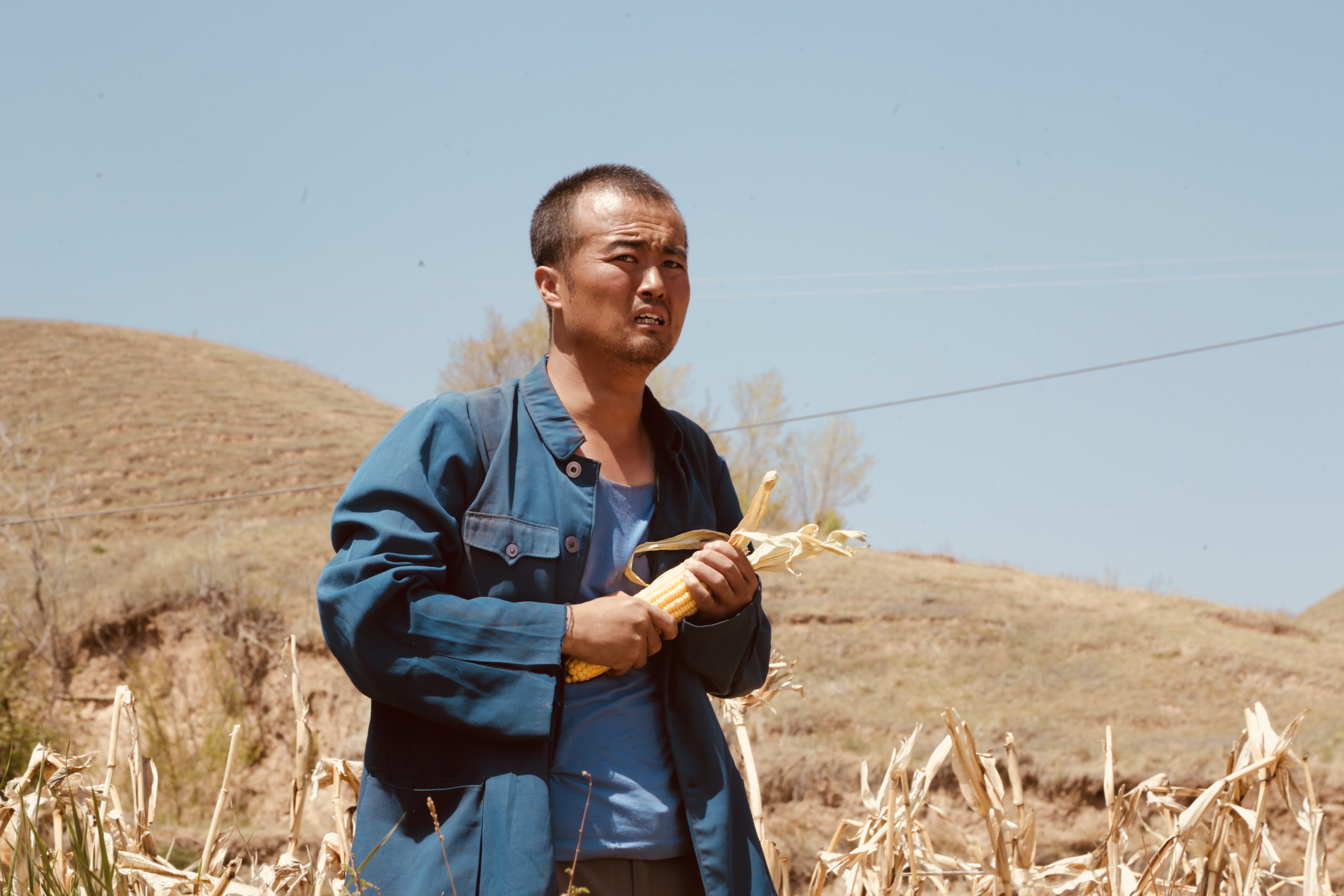 闽宁镇剧照的剧照