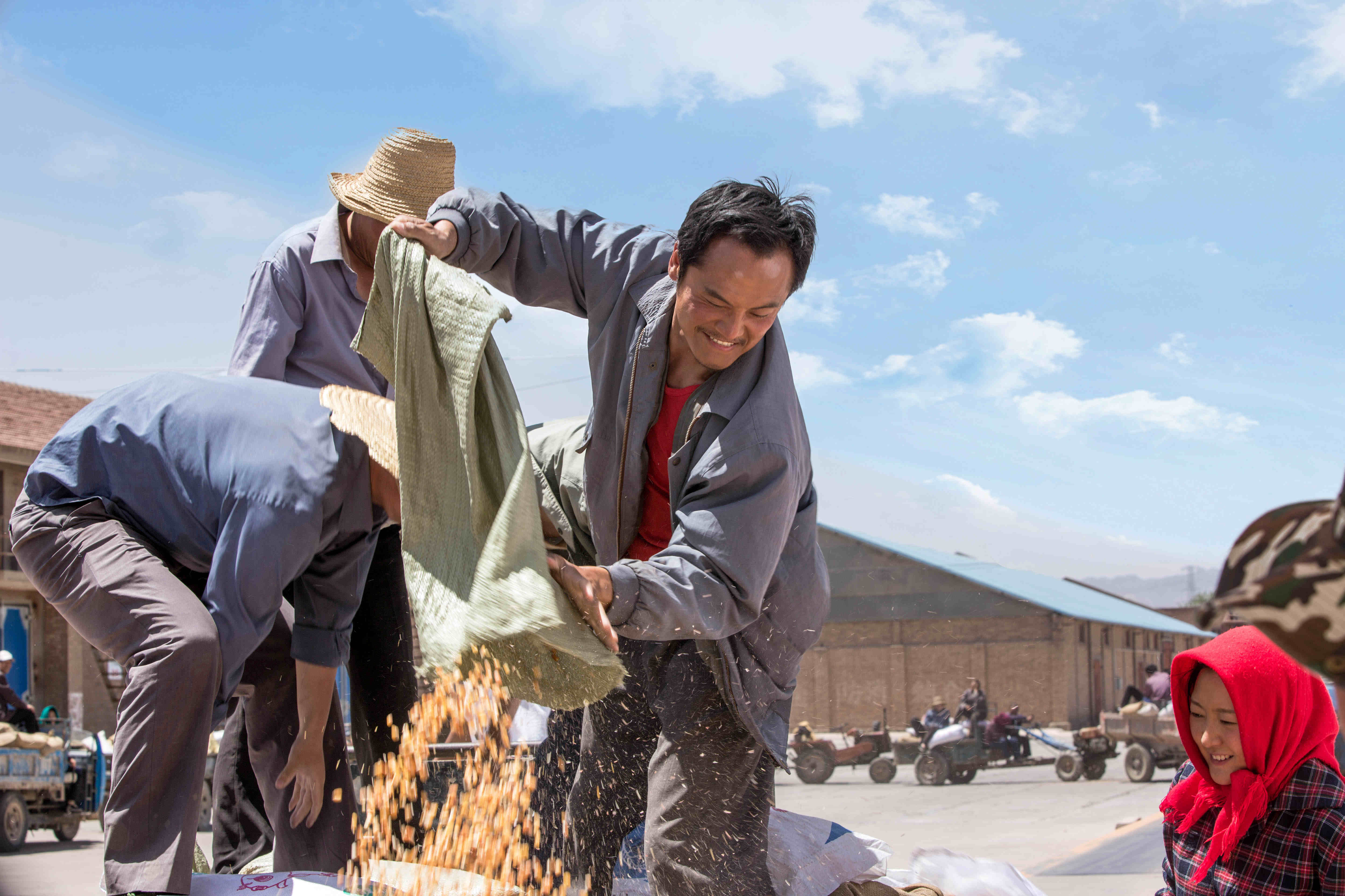 闽宁镇剧照的剧照