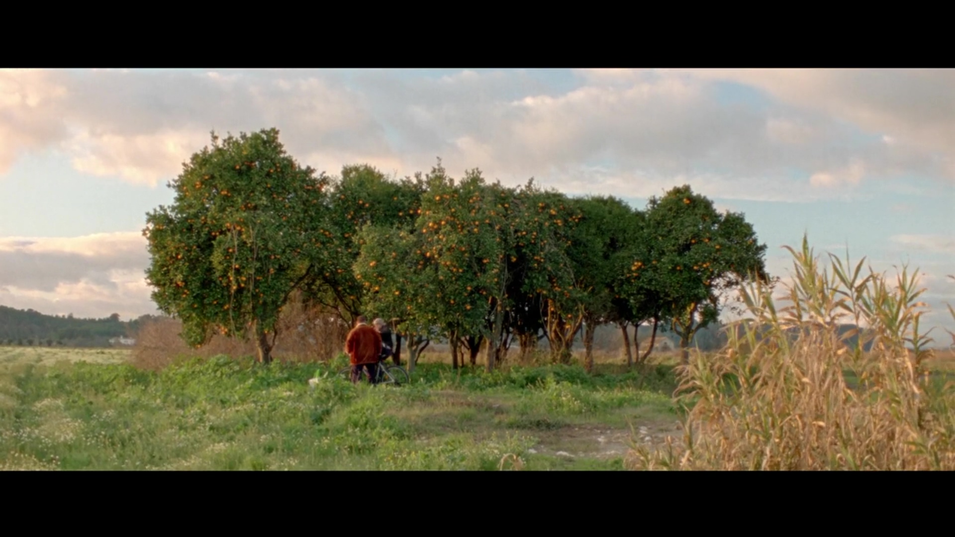 一千零一夜第3部：迷醉之人剧照的剧照