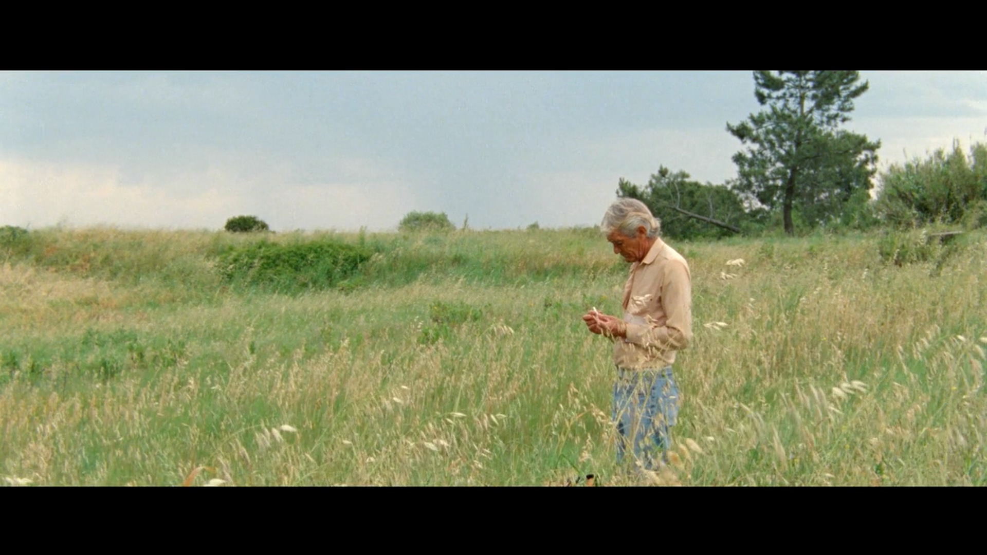 一千零一夜第3部：迷醉之人剧照的剧照