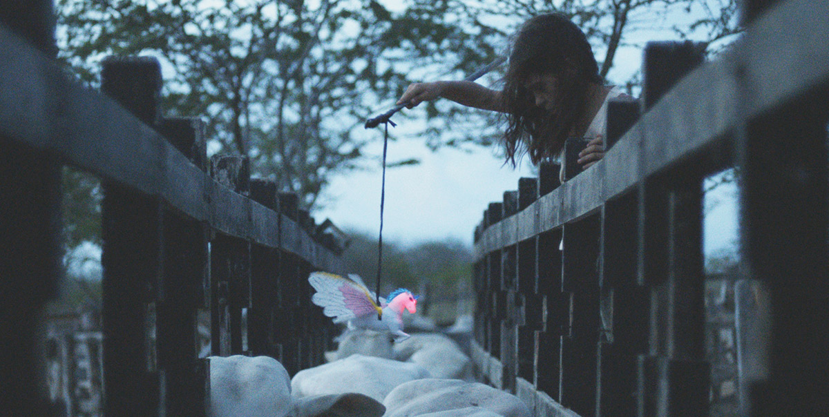 霓虹牛剧照的剧照