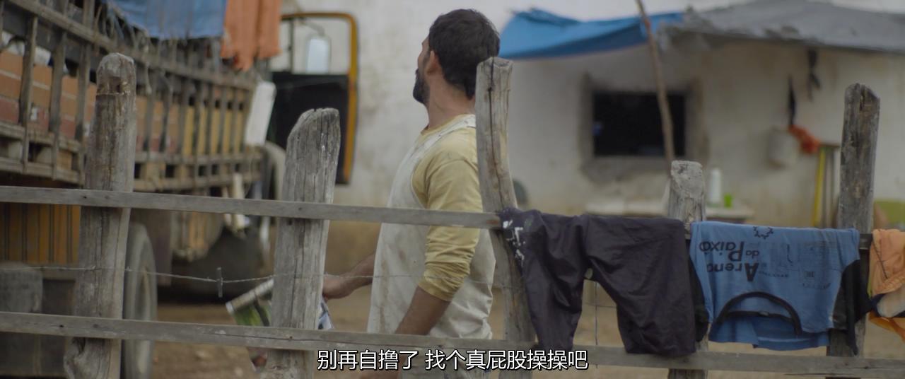 霓虹牛剧照的剧照