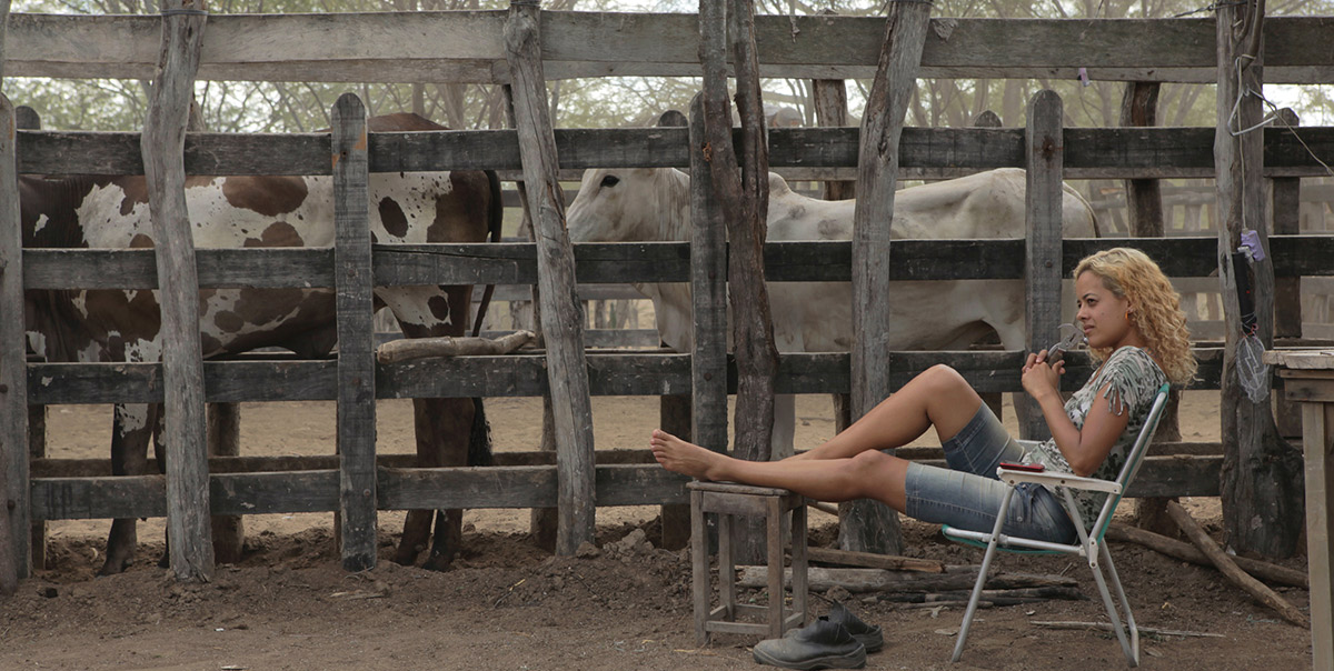 霓虹牛剧照的剧照