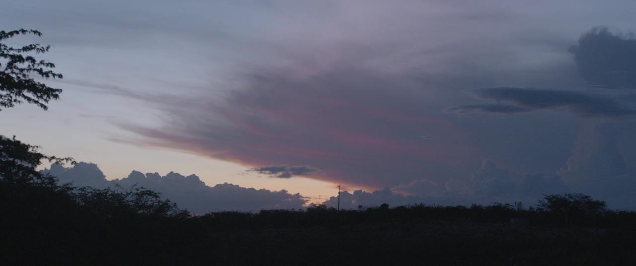 霓虹牛剧照的剧照