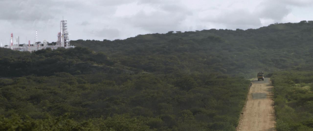 霓虹牛剧照的剧照