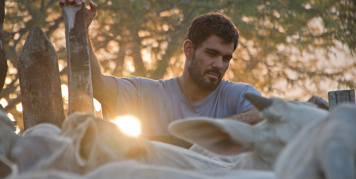 霓虹牛剧照的剧照