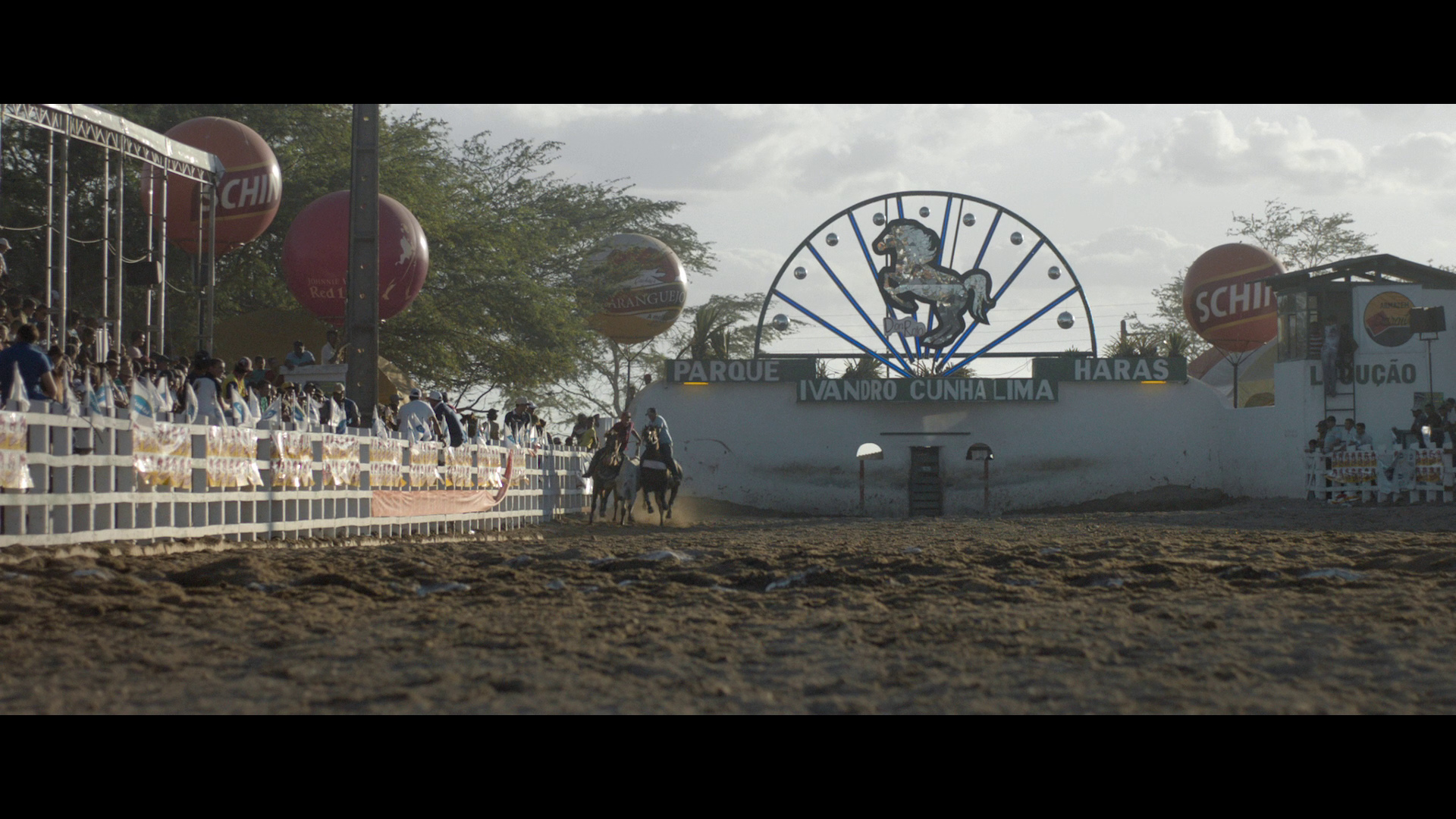 霓虹牛剧照的剧照